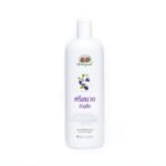 ABHAIBHUBEJHR CONDI BUTTERFLY PEA 300 ML