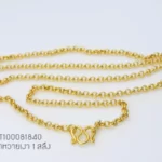 Golden-small-081