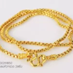 Golden-small-211