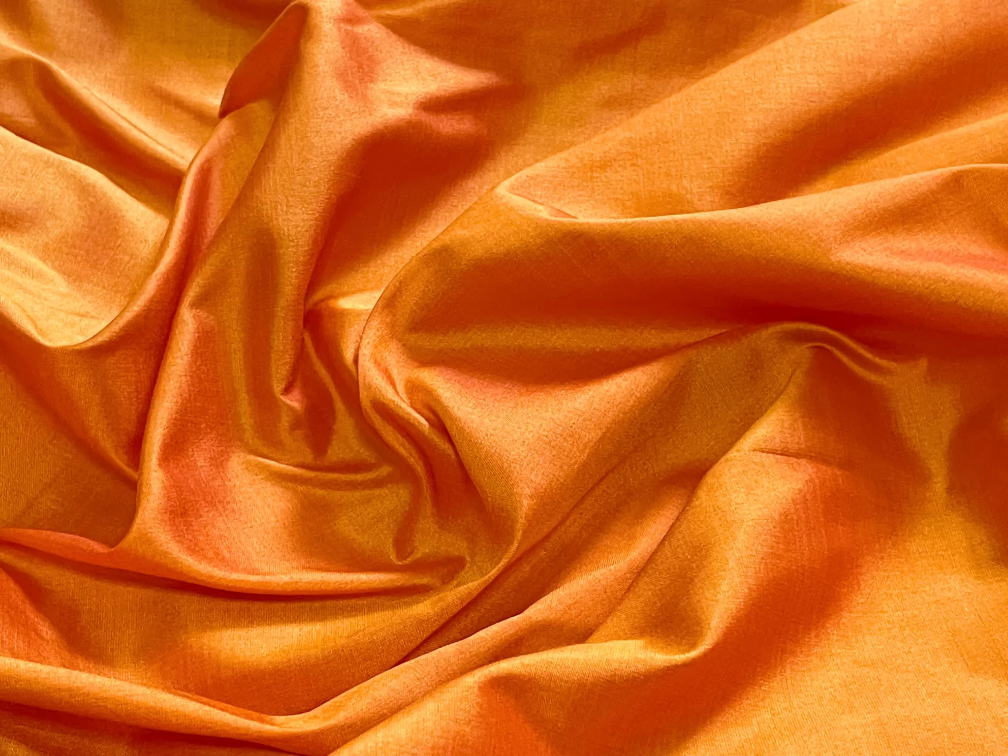 ORANGE-41 ORANGE-41 - Image 1