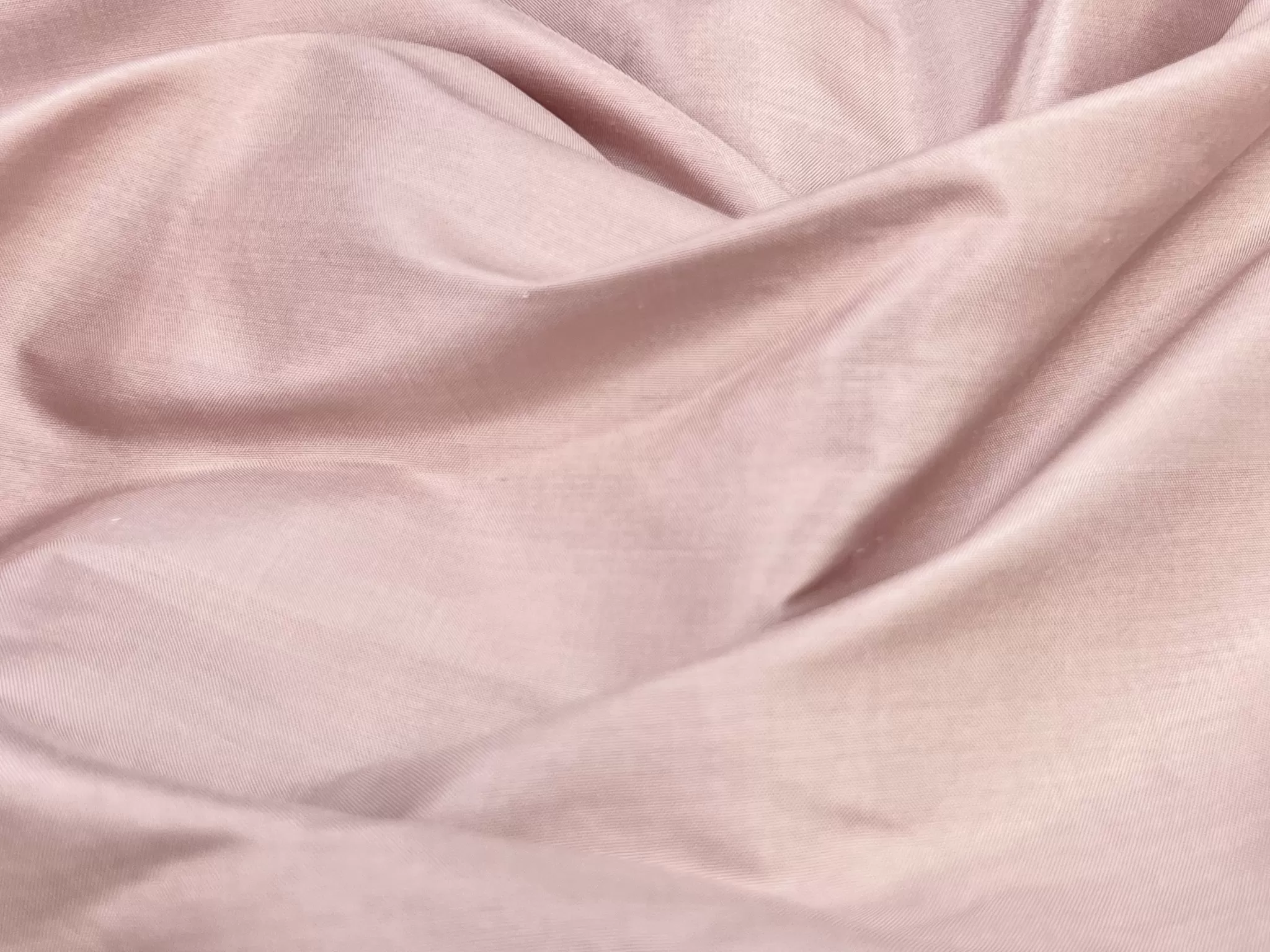 PEONY ROSE-43 PEONY ROSE-43 - Image 1